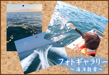 フォトギャラリー
