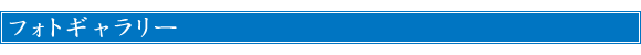 フォトギャラリー